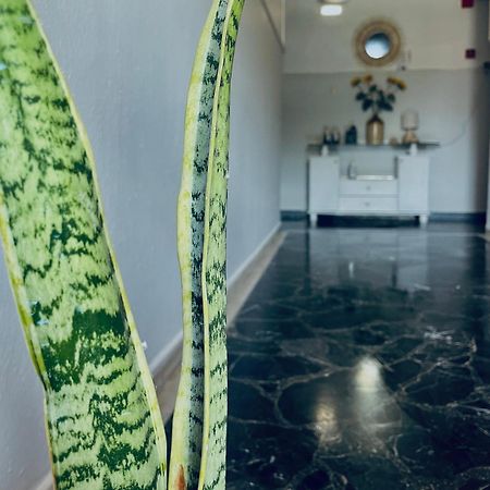Aktaion Hotel Skala Alykis Dış mekan fotoğraf