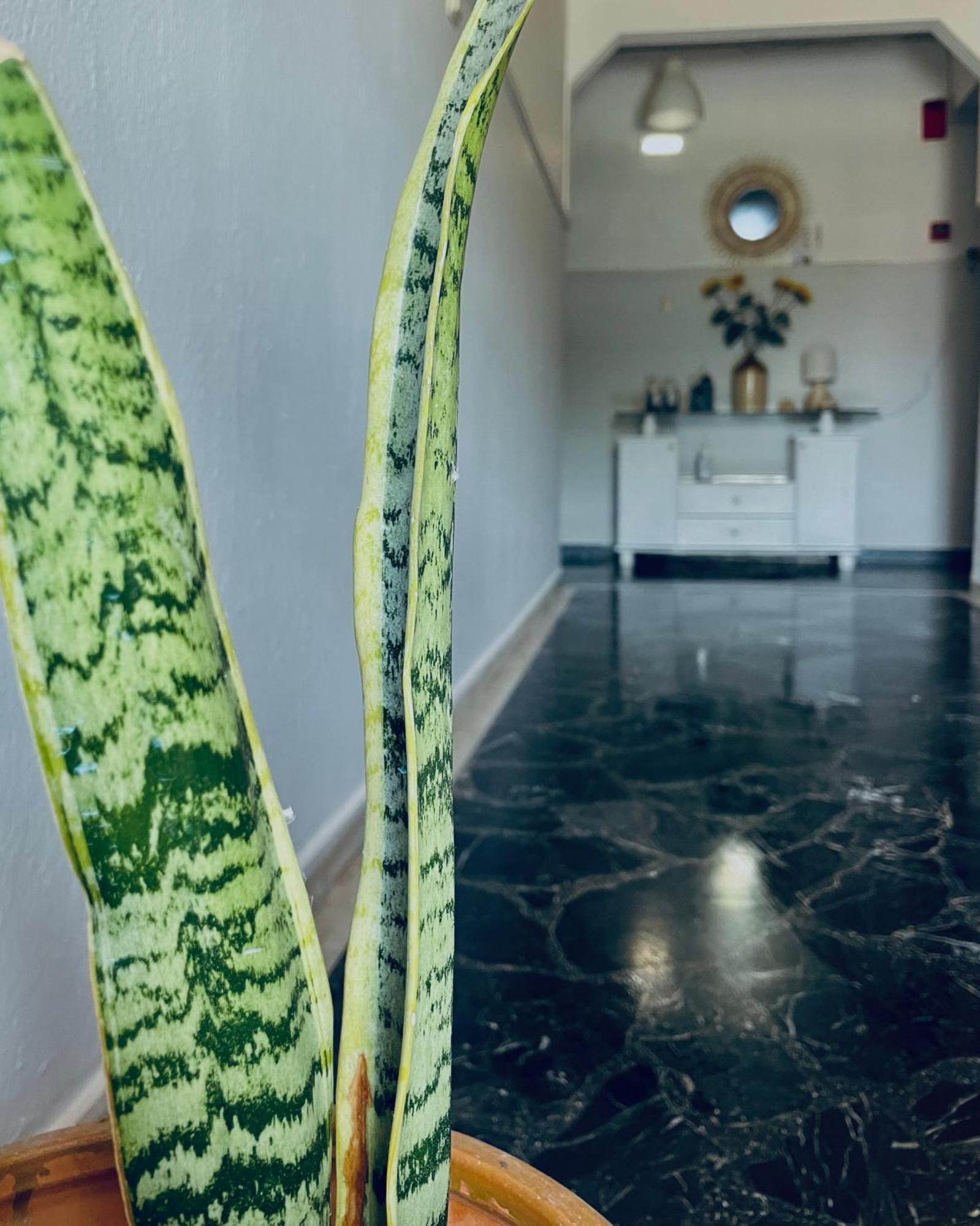 Aktaion Hotel Skala Alykis Dış mekan fotoğraf