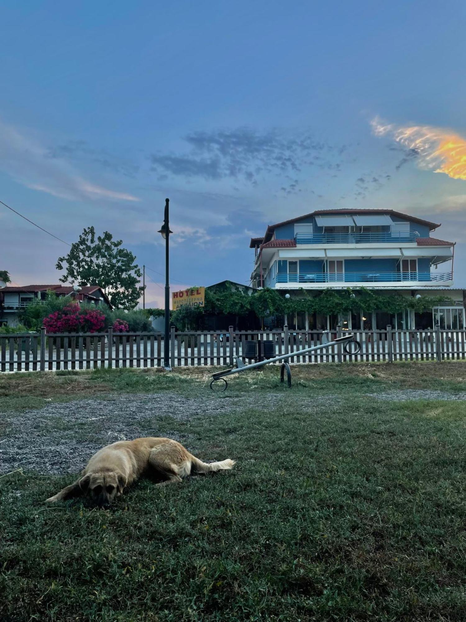 Aktaion Hotel Skala Alykis Dış mekan fotoğraf