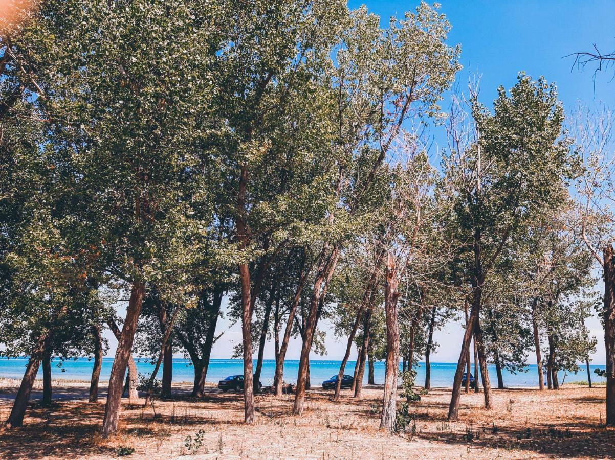 Aktaion Hotel Skala Alykis Dış mekan fotoğraf