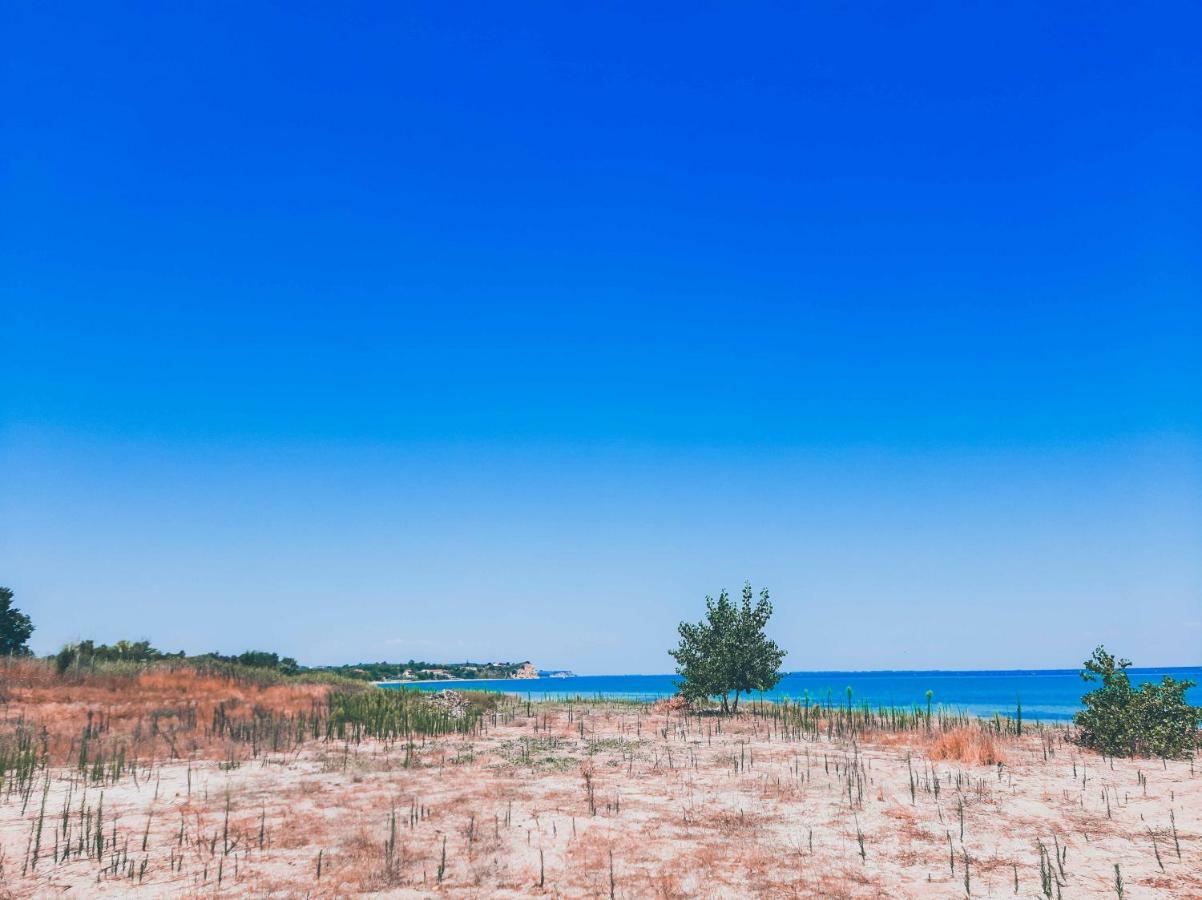 Aktaion Hotel Skala Alykis Dış mekan fotoğraf